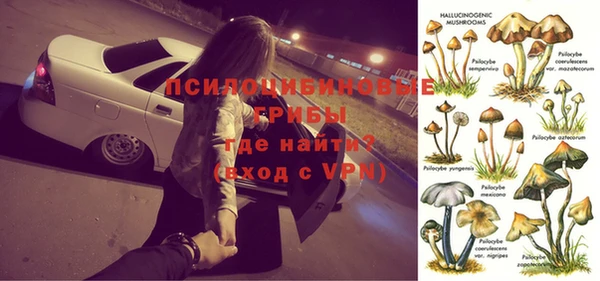 героин Алексин