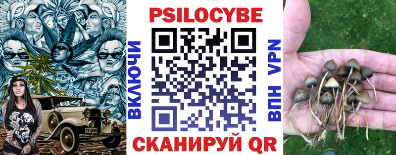 Псилоцибиновые грибы GOLDEN TEACHER Куса
